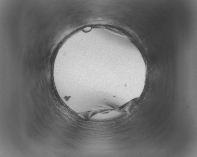 X0000076071167200610202006