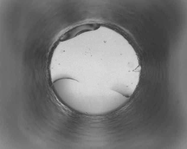 X0000076071168200610202006