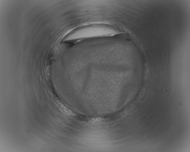 X0000076071169200610202006