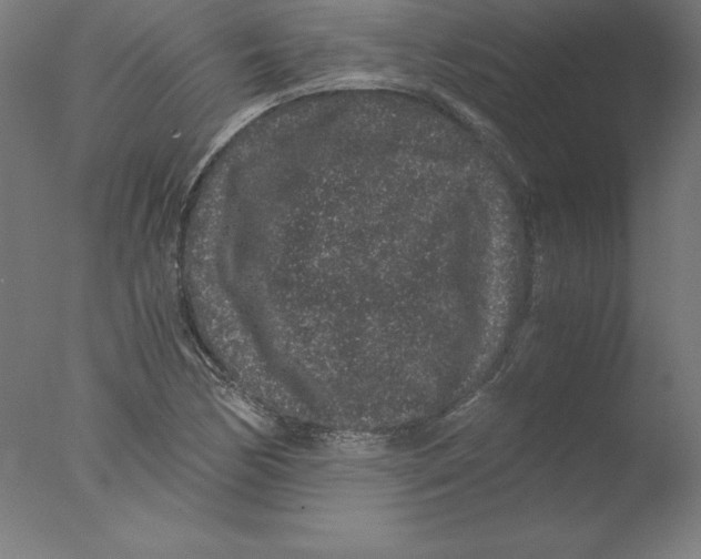 X0000076071170200610202006