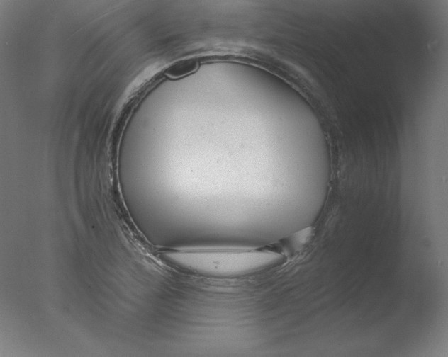 X0000076071172200610202006