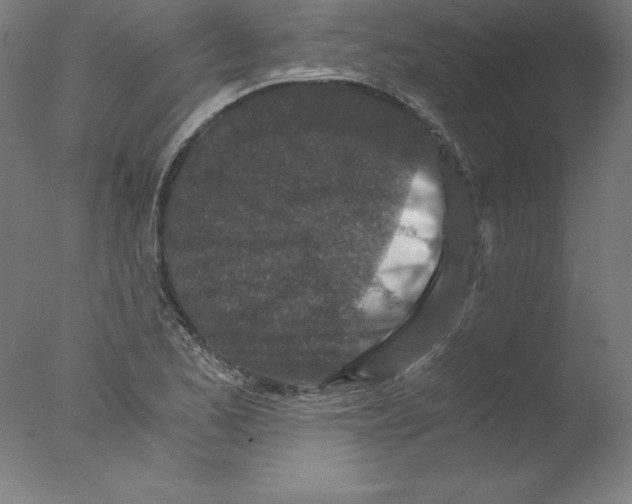 X0000076071173200610202006