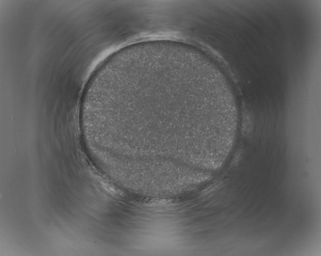 X0000076071174200610202006