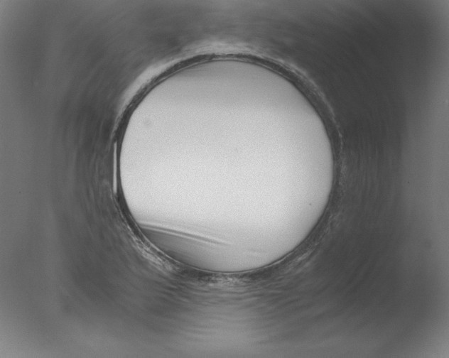 X0000076071175200610202006