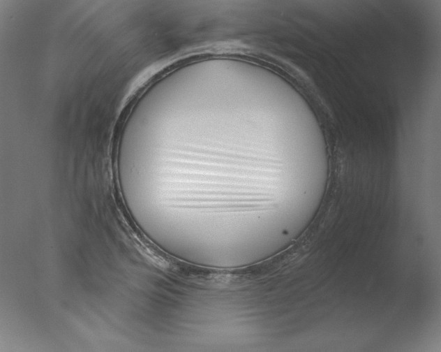 X0000076071176200610202006