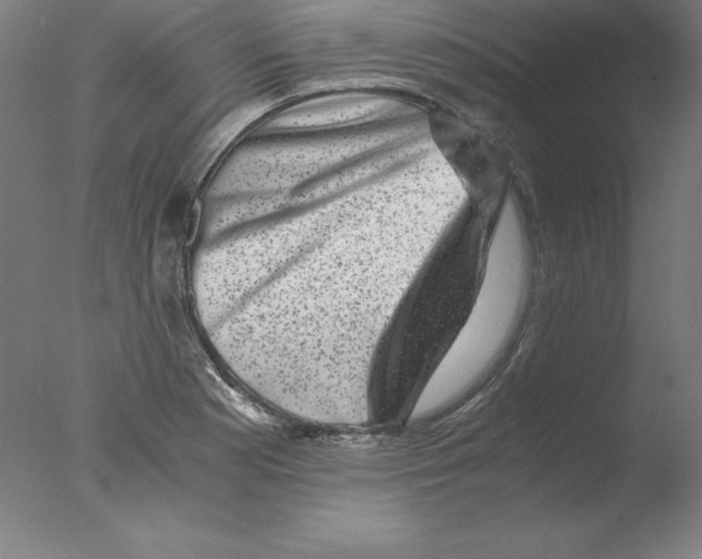 X0000076071177200610202006