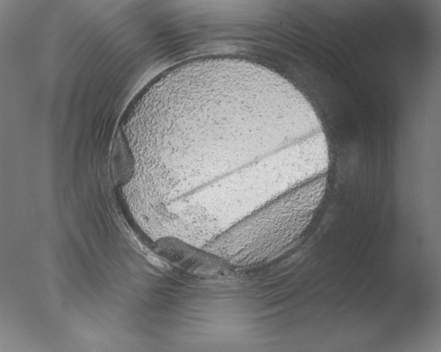 X0000076071178200610202006