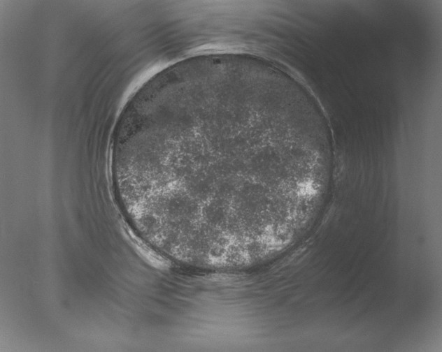 X0000076071179200610202006