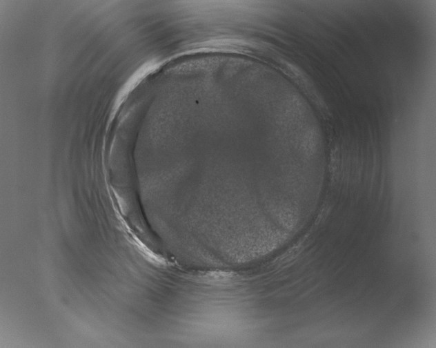 X0000076071180200610202006