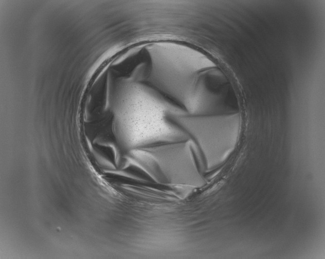 X0000076071181200610202006