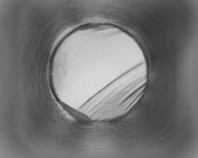 X0000076071183200610202006