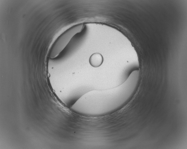 X0000076071184200610202006