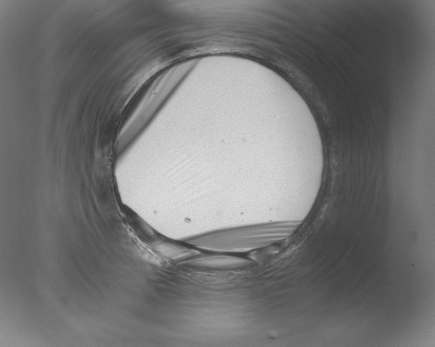 X0000076071185200610202006