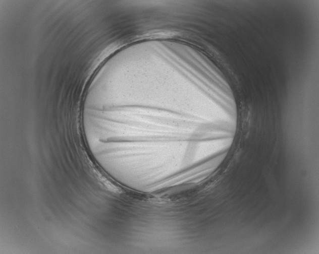 X0000076071186200610202006