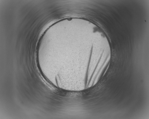 X0000076071187200610202006