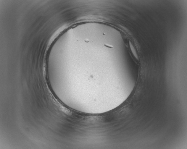 X0000076071188200610202006