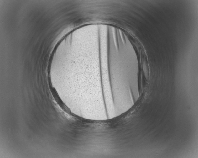 X0000076071189200610202006