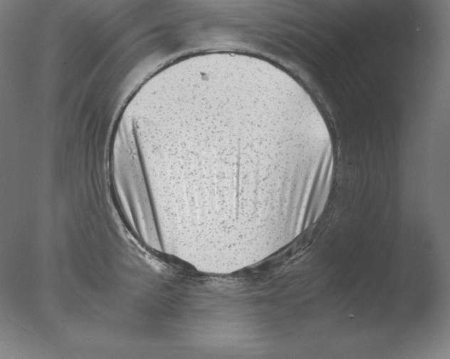 X0000076071191200610202006