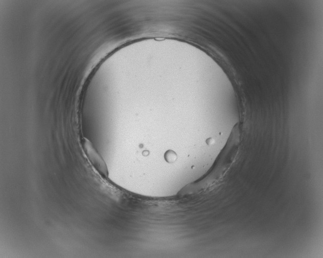 X0000076071192200610202006