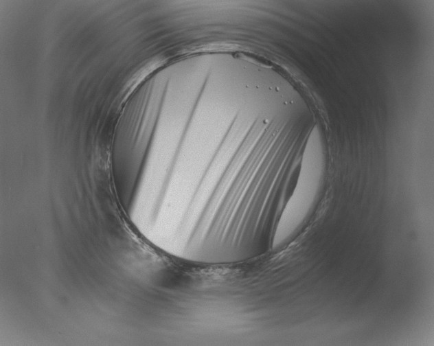 X0000076071193200610202006