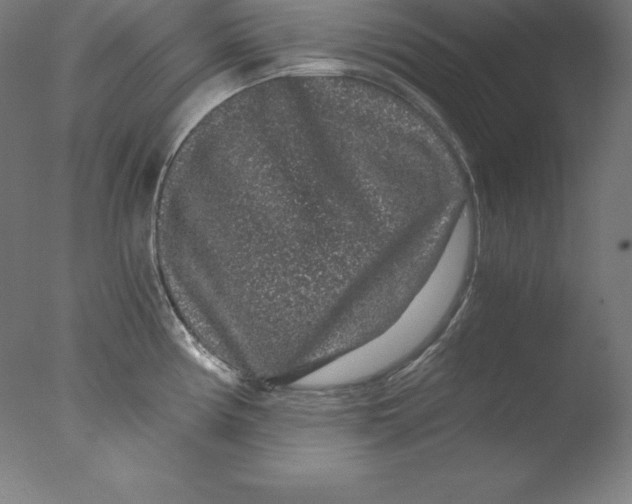 X0000076071194200610202006