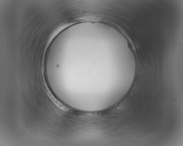 X0000076071195200610202006