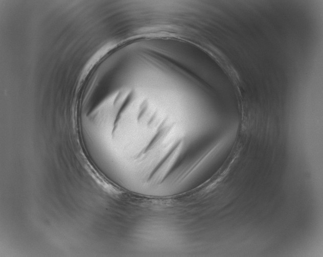 X0000076071196200610202006