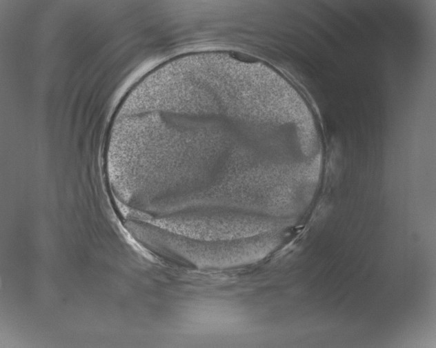 X0000076071197200610202006