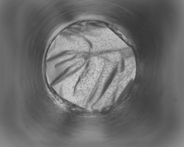 X0000076071199200610202006