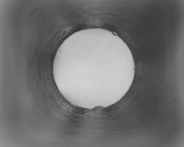 X0000076071201200610202005