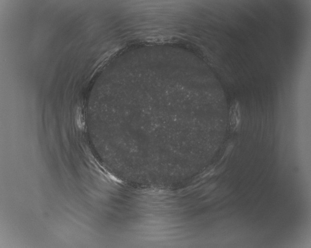 X0000076071202200610202005