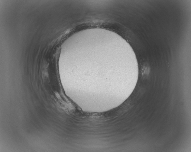 X0000076071204200610202005