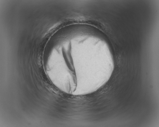 X0000076071205200610202005