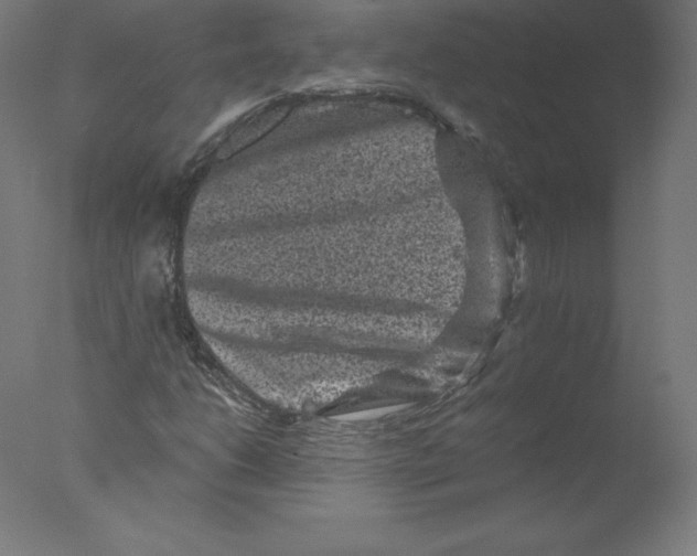 X0000076071206200610202005