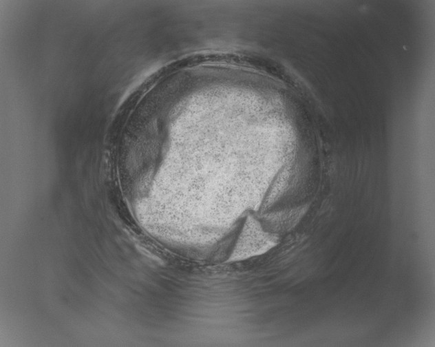 X0000076071208200610202005