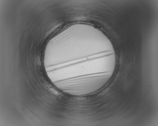 X0000076071209200610202005