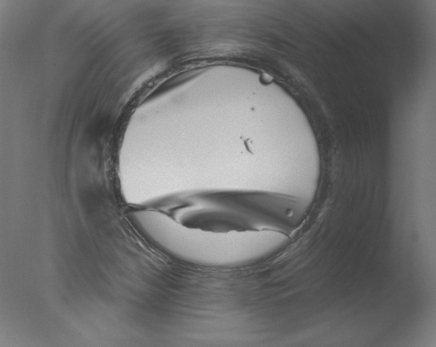 X0000076071210200610202005