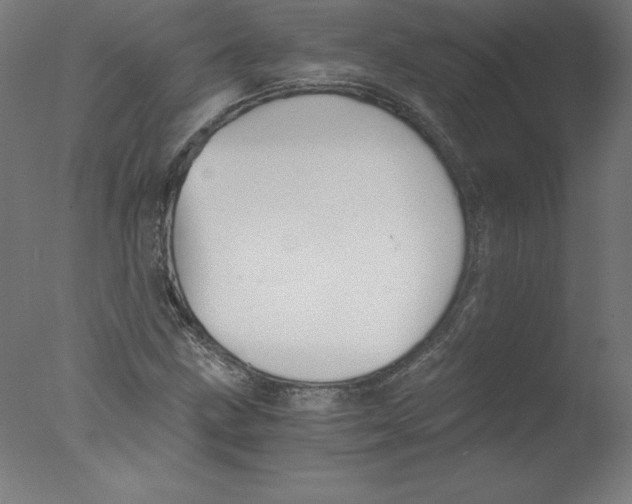 X0000076071211200610202005