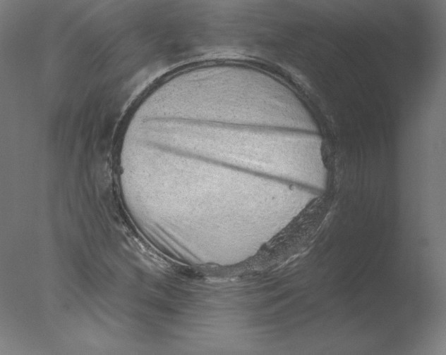 X0000076071212200610202005