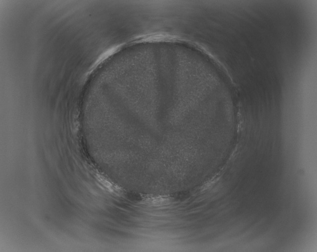 X0000076071213200610202005