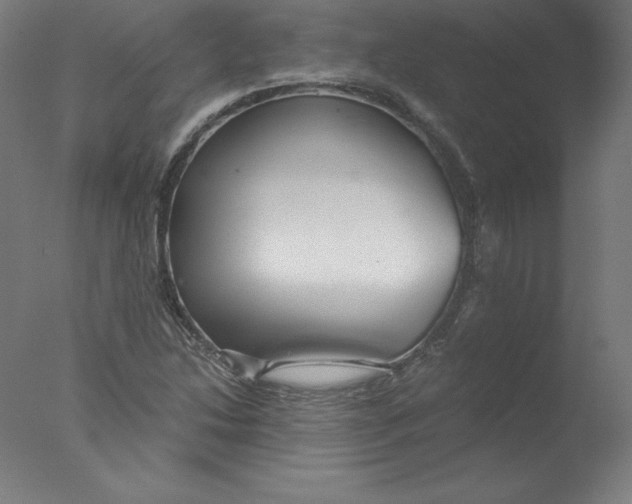 X0000076071214200610202005