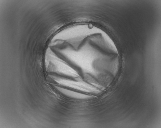 X0000076071217200610202005