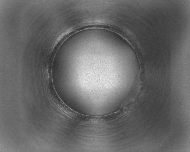 X0000076071218200610202005