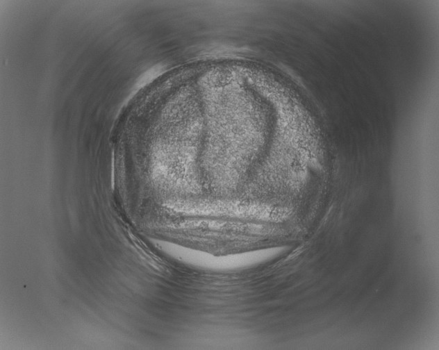 X0000076071219200610202005