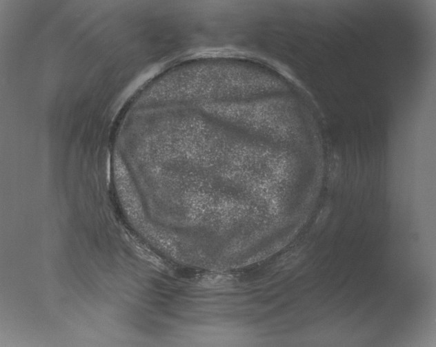 X0000076071221200610202005