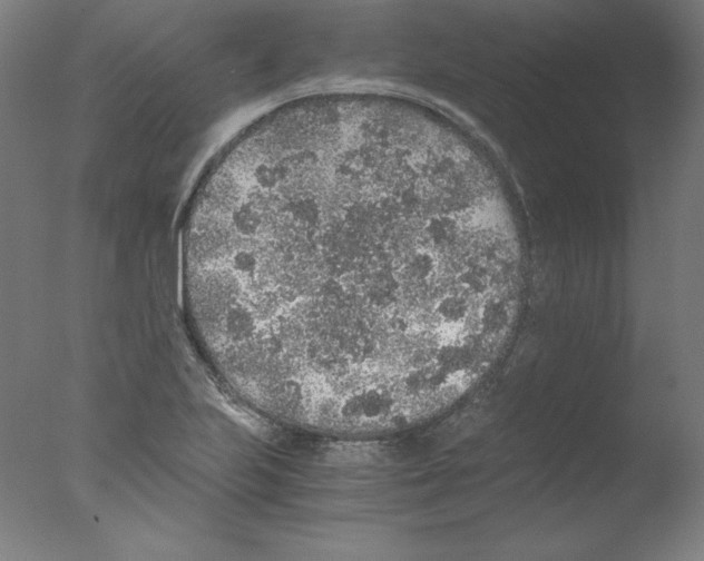 X0000076071223200610202005