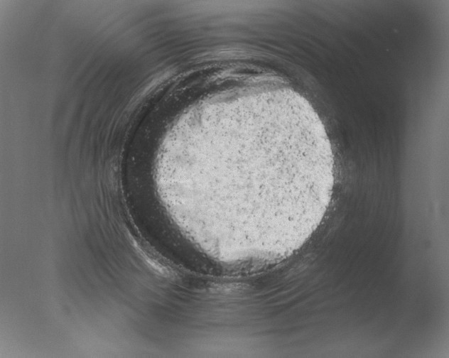 X0000076071225200610202005