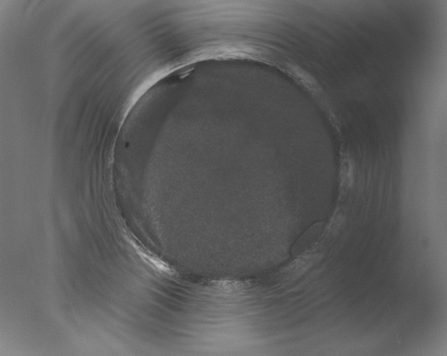 X0000076071226200610202005