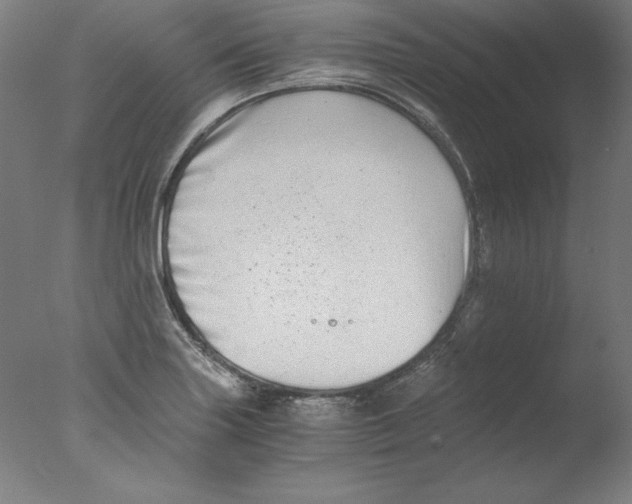 X0000076071227200610202005