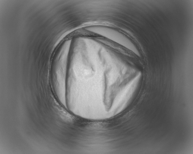 X0000076071228200610202005